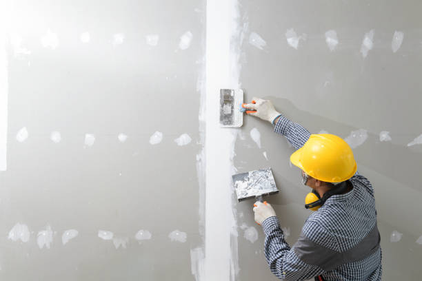 Best Mold Documentation for Insurance Claims  in La Puente, CA