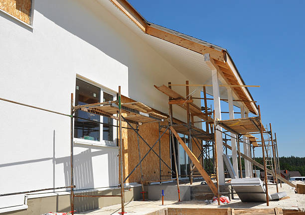 Best Basement Mold Removal  in La Puente, CA