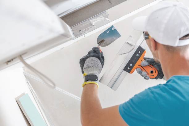 Professional Mold Removal in La Puente, CA